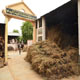 Mansa Panjarpole