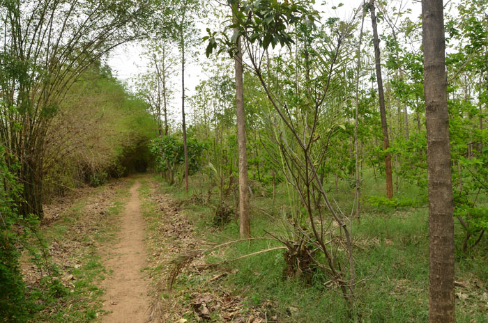 Mansa Panjarpole