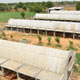 Mansa Panjarpole