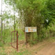 Mansa Panjarpole