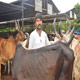 Mansa Panjarpole
